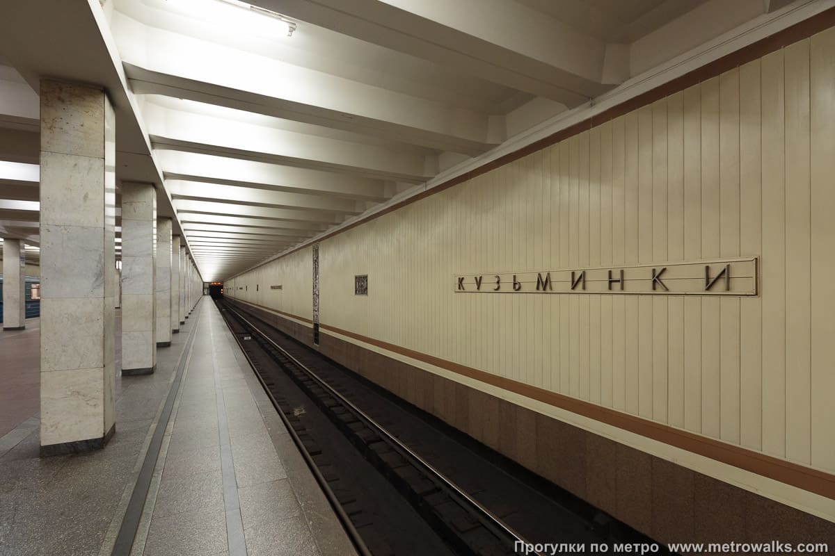 Cтанция метро «Кузьминки» 